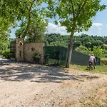 Truffle Todi